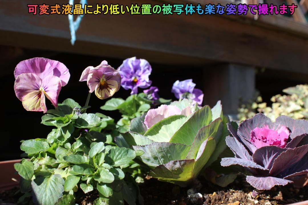 【ショット数極少】おまけバック付き✨Canon kiss X5　スマホ転送✨