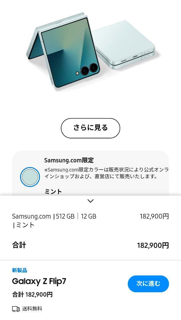 Samsung Galaxy Z Flip7 ミント 512GB 本体 +ケース
