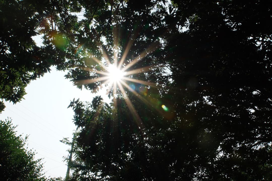 【これ1本】動作◎ SONY SEL18200LE 望遠ズームレンズ 242