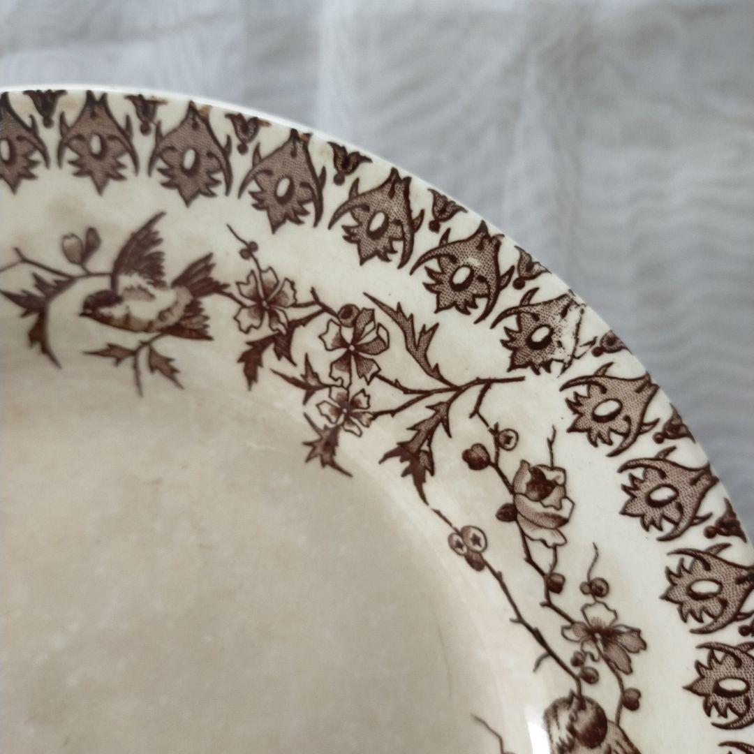 【希少】ショワジールロワ　燕　枯れ色ブラウン　コンポティエ