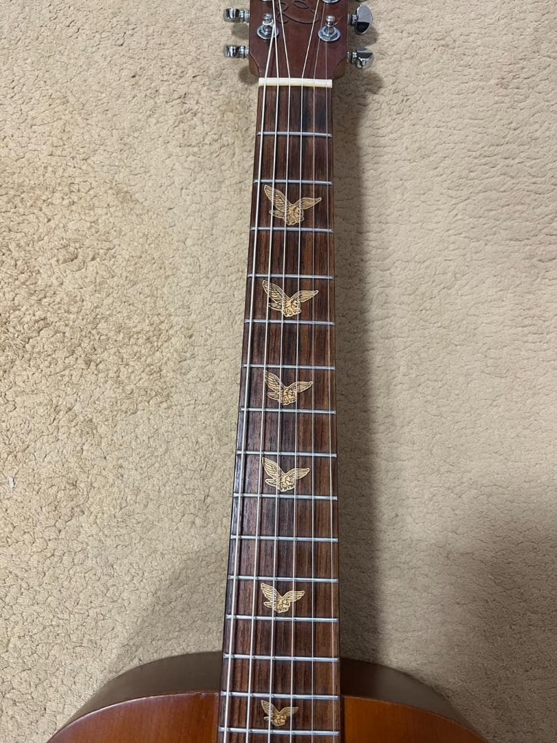 （神設定済み）TAKAMINE Cooder CM-2 ミニギター