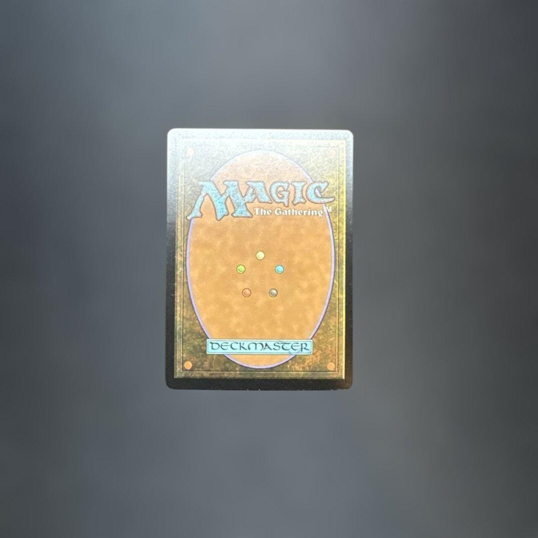 樹木茂る山麓 Foil EXP Wooded Foothills