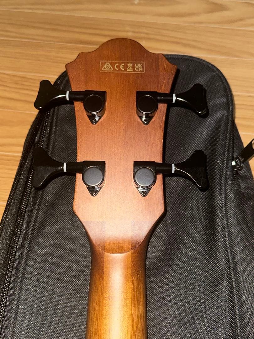 Ibanez AEGB24E-MHS (必ず商品の説明をご覧ください！)