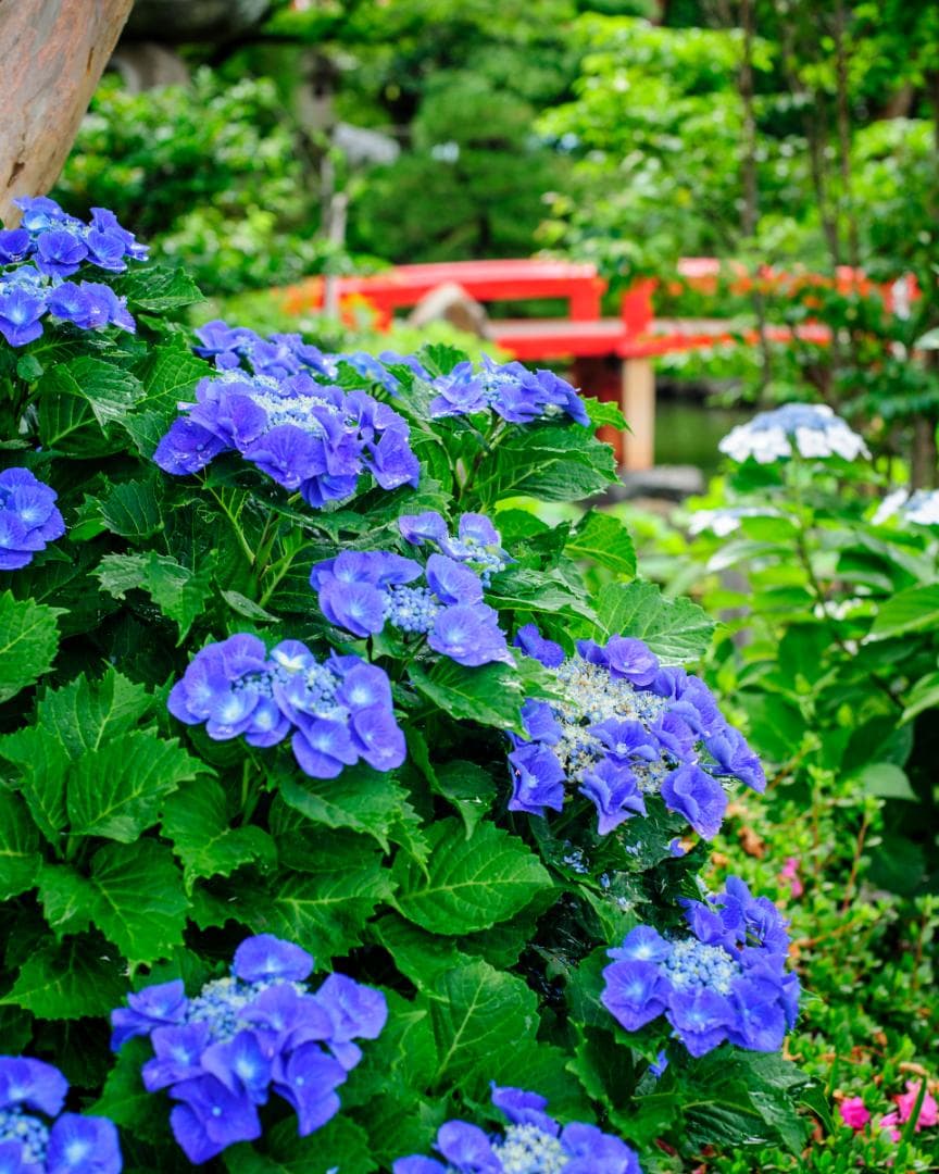 良好な状態 Nikon D700 – シャッター回数 9770回