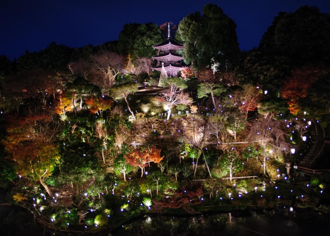 良好な状態 Nikon D700 – シャッター回数 9770回