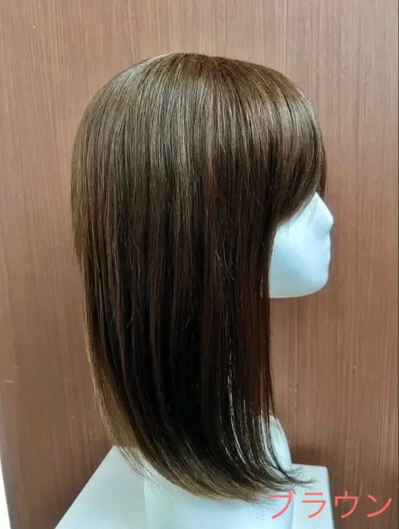 人毛100% サラサラ ストレート セミロング ウィッグ かつら MＫ38