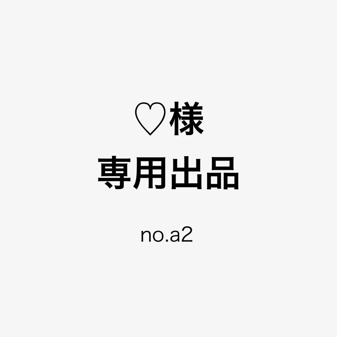 ♡専用出品 no.a2