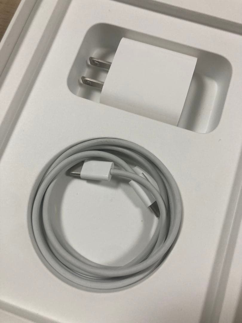 iPad mini 第6世代 256GB Wi-Fi＋Cellular おまけ付