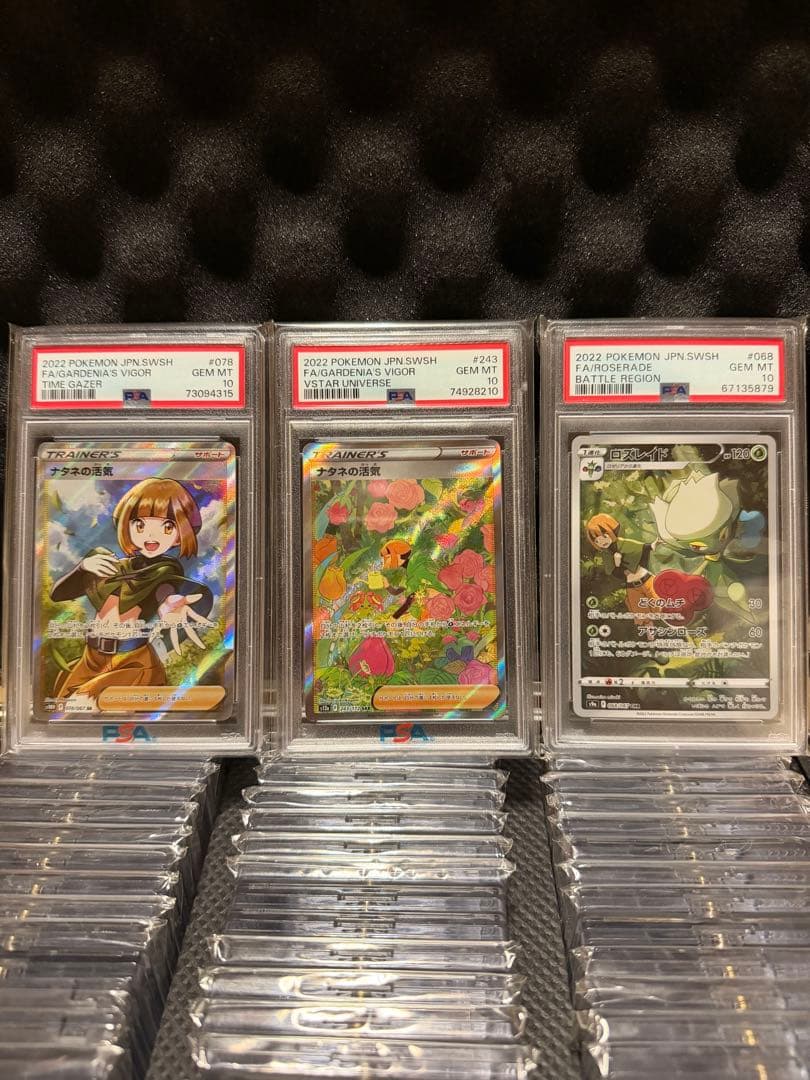 ナタネ3枚セット