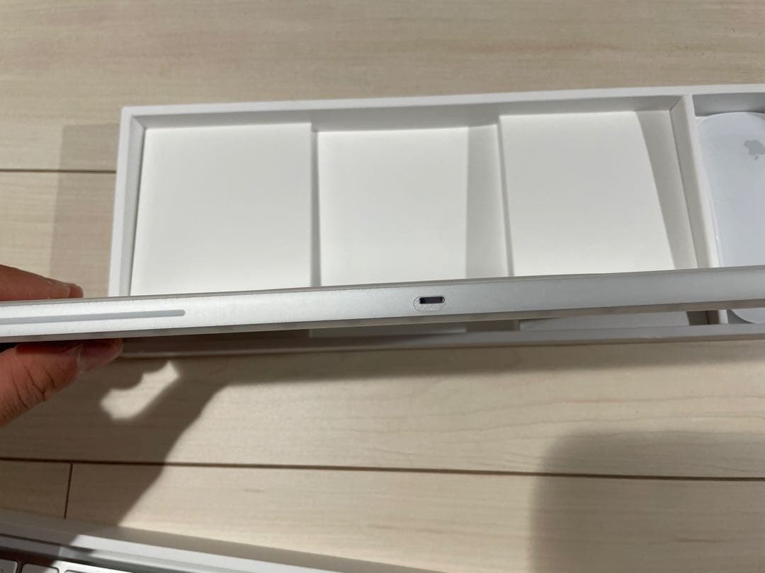 Apple Magic Keyboard & Magic Mouse 2 セット