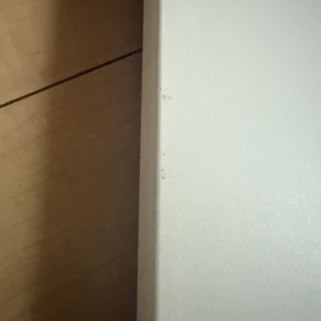 まっつんソニー ブラビア KJ-65X85L 65型 WALLスタンド付