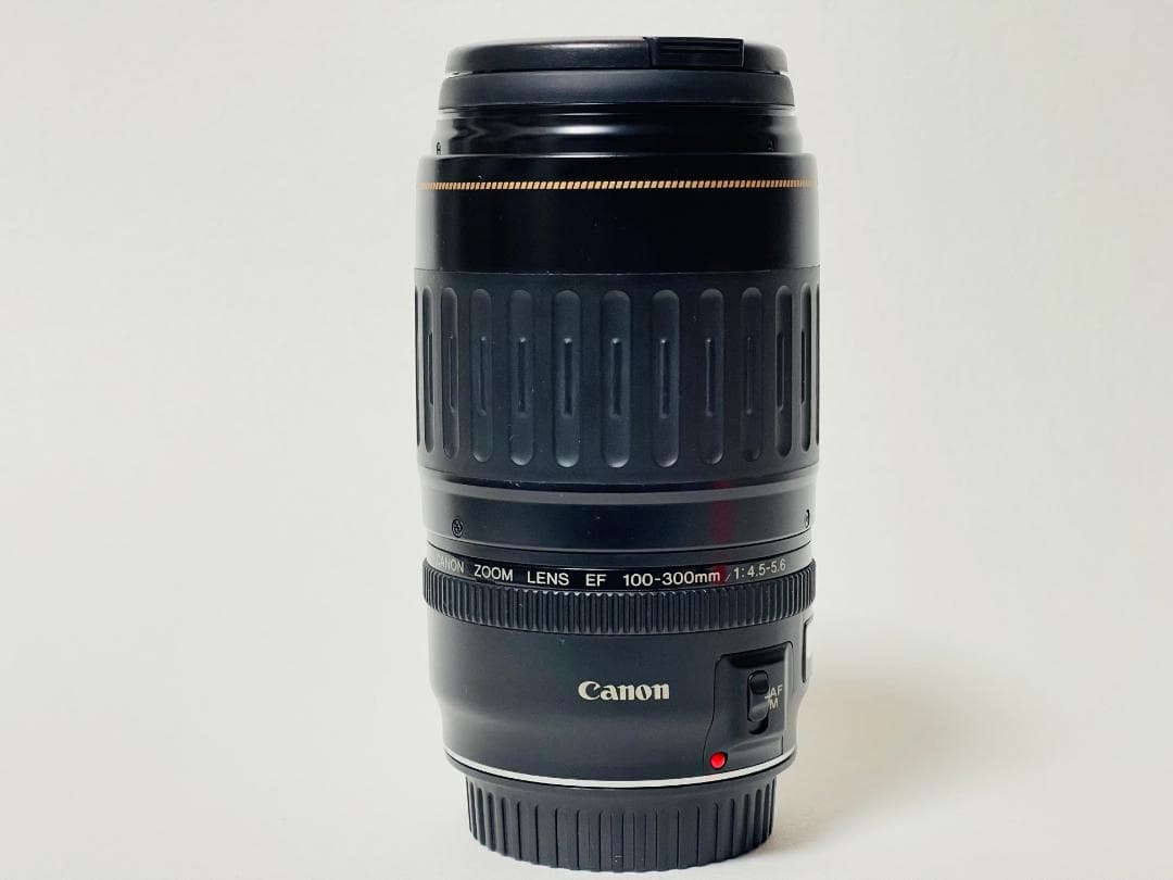 レンズ(ズーム) Canon EF 100-300mm 4.5-5.6 USM
