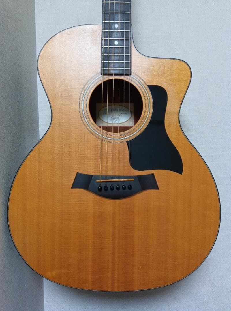 Taylor 114ce ／エレアコ ／ Gig Bag Case付