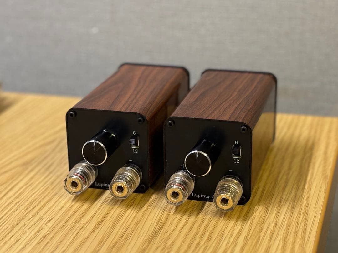 新モデル　Lupinus Audio AMT-TP3 　スーパーツイーター