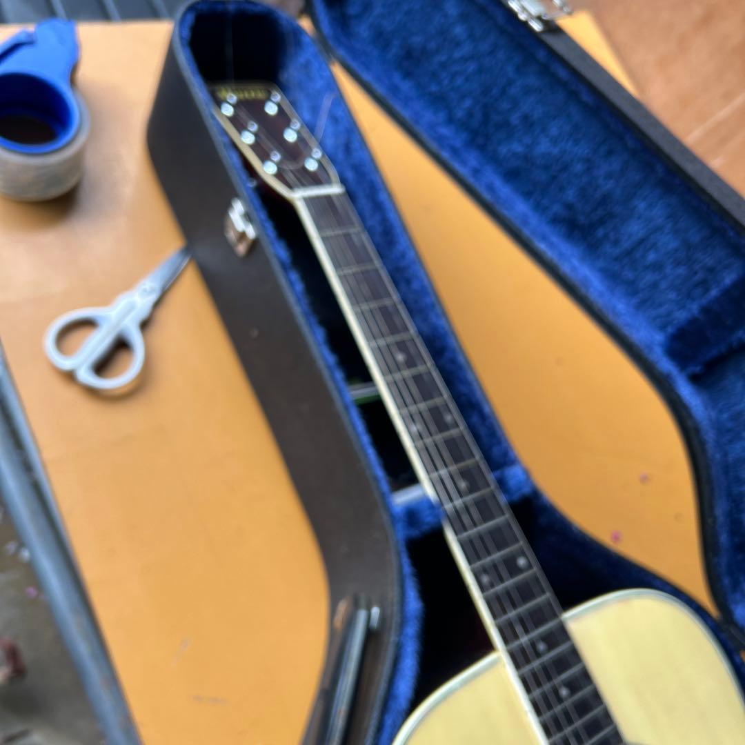 Morris アコースティックギター スプルース