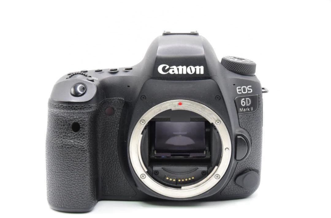 Canon EOS 6D Mark II 本体　充電器、ストロボ付き