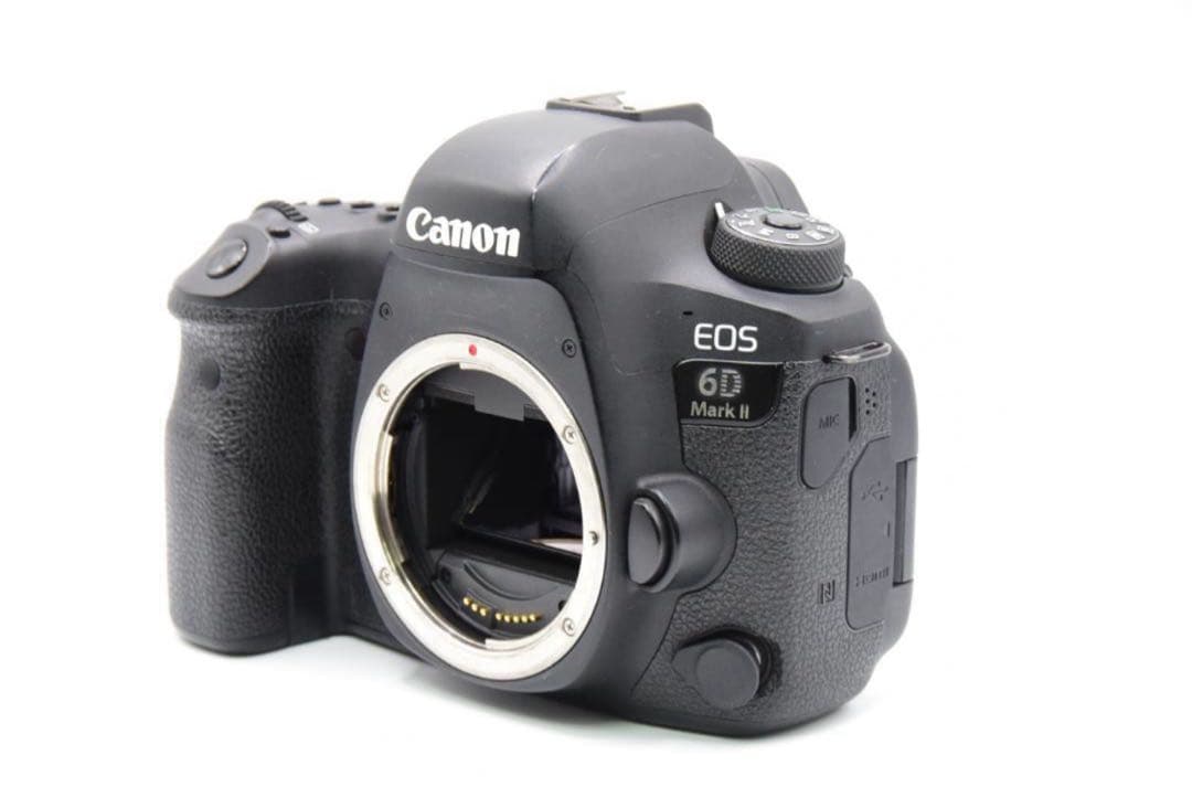 Canon EOS 6D Mark II 本体　充電器、ストロボ付き