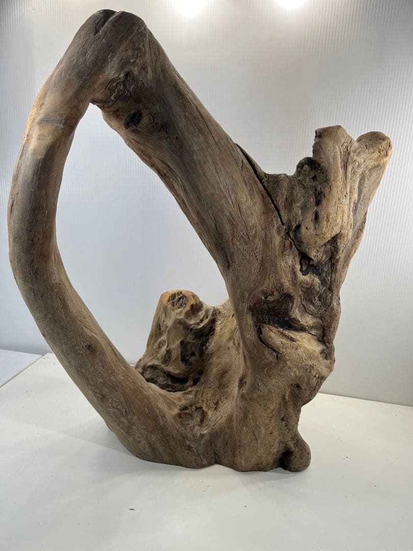 m10特大流木 アク抜き済み 爬虫類シェルター 登り木 インテリア オブジェ