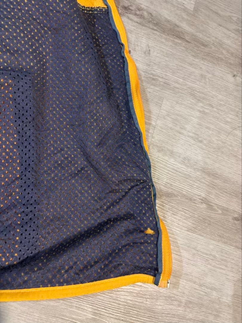 Patagonia USA製 シンチラ フリースベスト#405