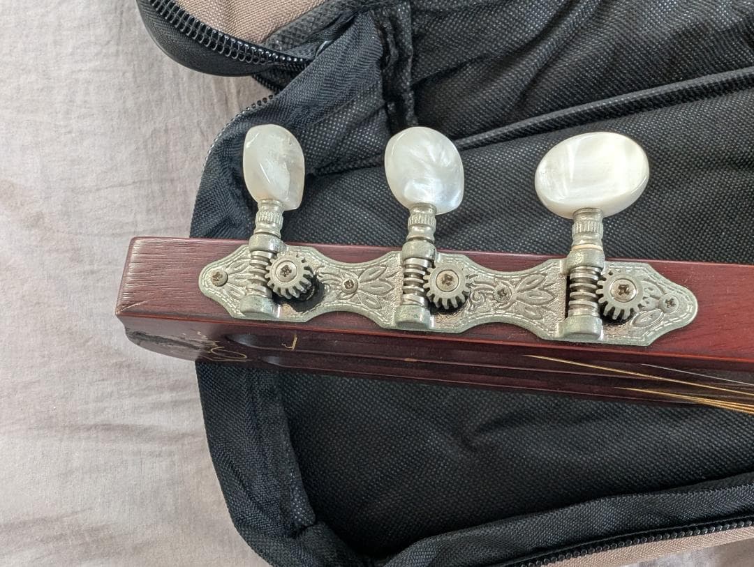 Godin Multiac Steel Duet ゴダン スチール デュエット