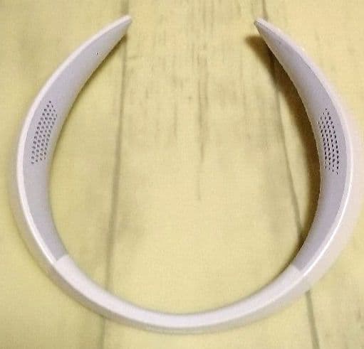 Panasonic SC-WN10-W ネックスピーカー