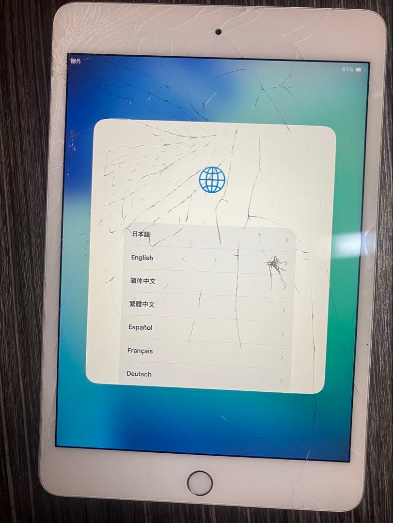 画面割れApple iPad mini(第5世代) シルバー 充電器付き