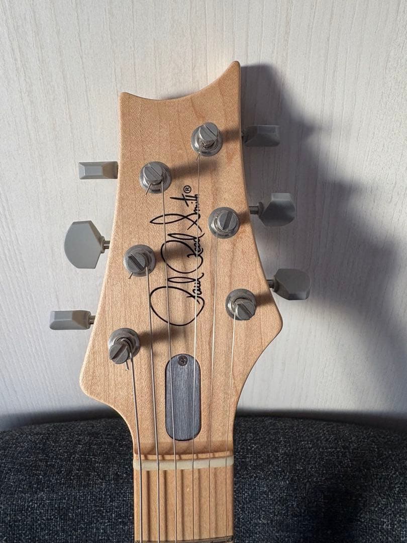 ギター PRS Silver Sky frost