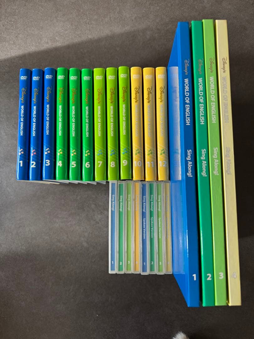 2014年購入　ディズニー英語システム　シングアロングセット（使用感あり）