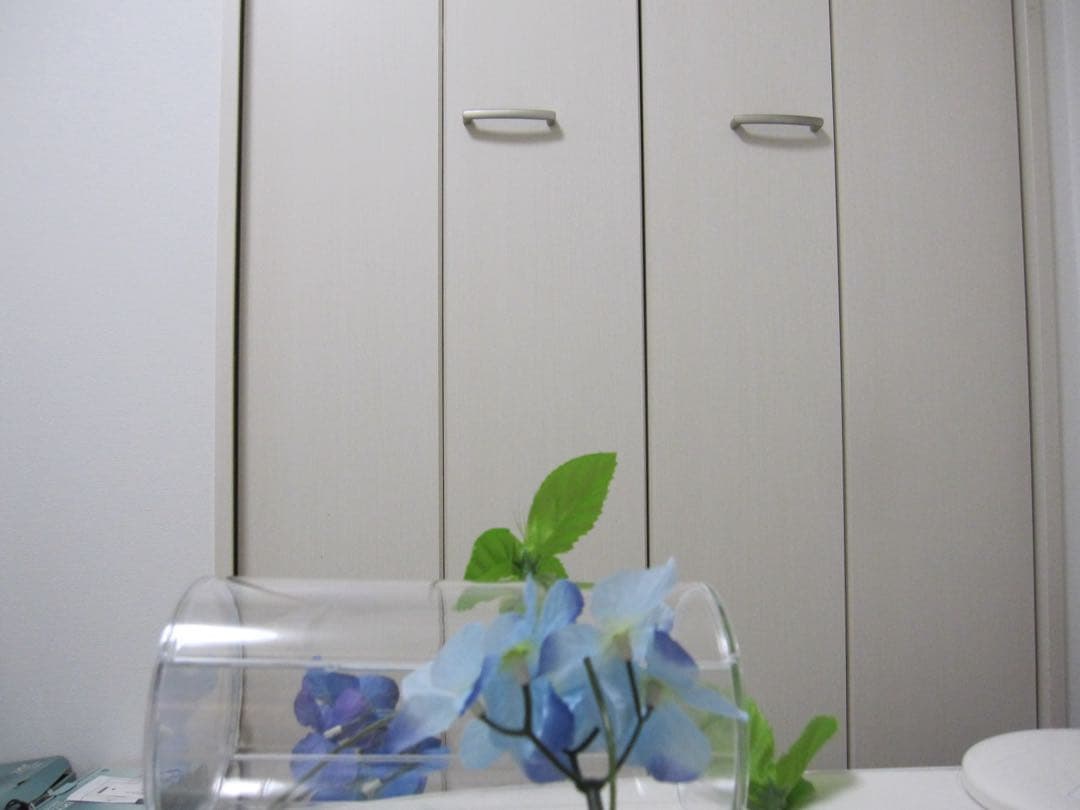 Canon IXY 510IS PC1356 充電器　箱 コンデジ　動作品