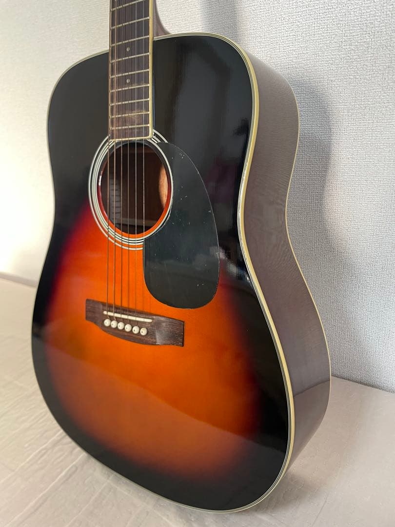 ARIA アコースティックギター ADW-200BS RITTER ソフトケース