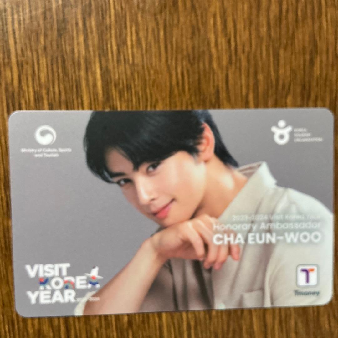 匿名配送♡ 配布終了品 チャウヌ 非売品 Tmoneyカード