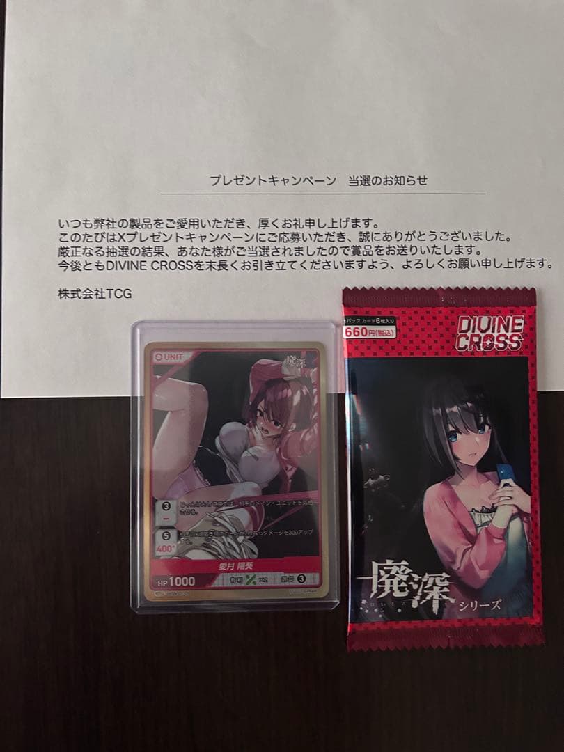 DIVINE CROSS ディヴァインクロス　廃深シリーズ　X限定版