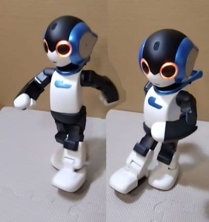 ロビ 完成品 (2電源) ブルー