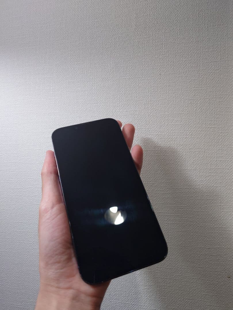 iPhone 13 Pro max シエラブルー 本体