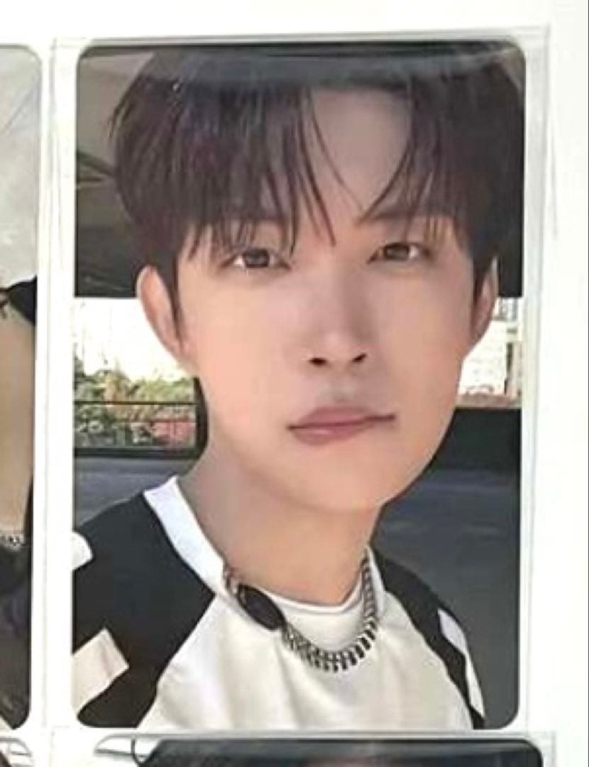 ALD1 ゴヌ EUPHORIA pluschat 限定 トレカ C