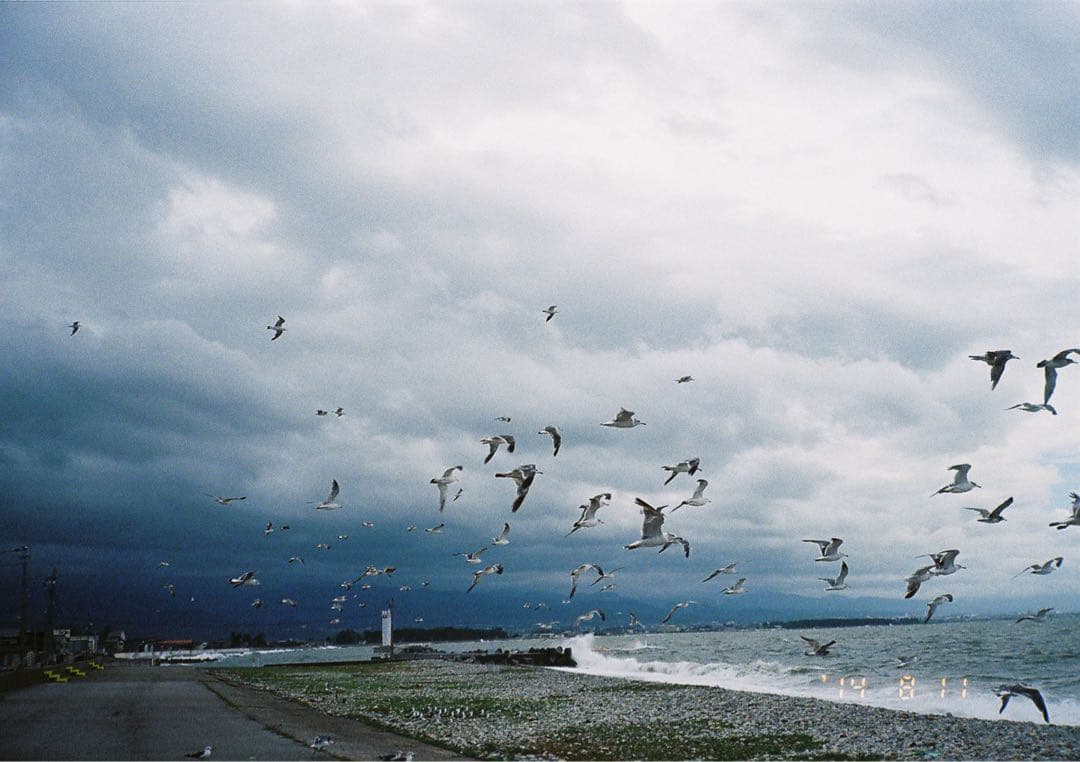 CONTAX T2 データパック 専用ケース付属