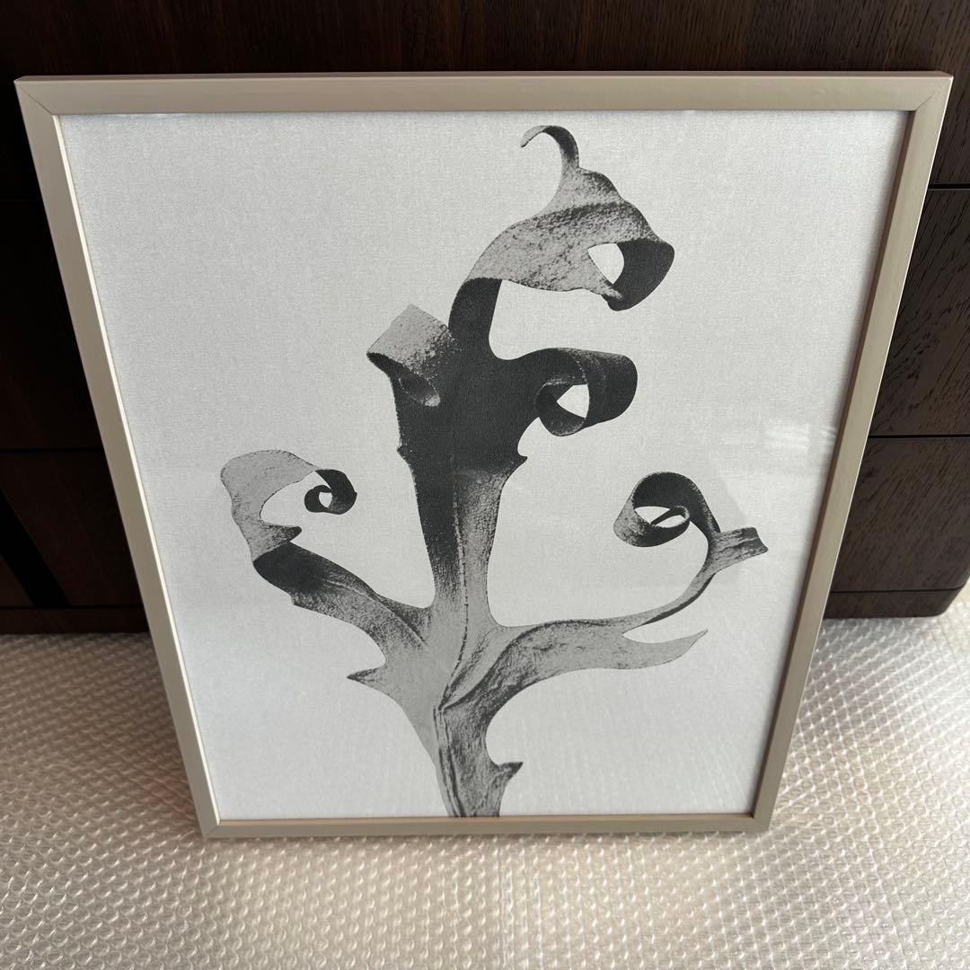 BoConcept ボーコンセプト アートパネル Form in nature