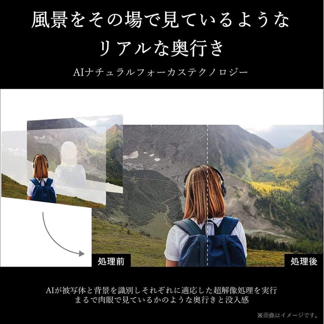 【お宝】 REGZA テレビ 液晶 本体 4K 65インチ 65Z875L