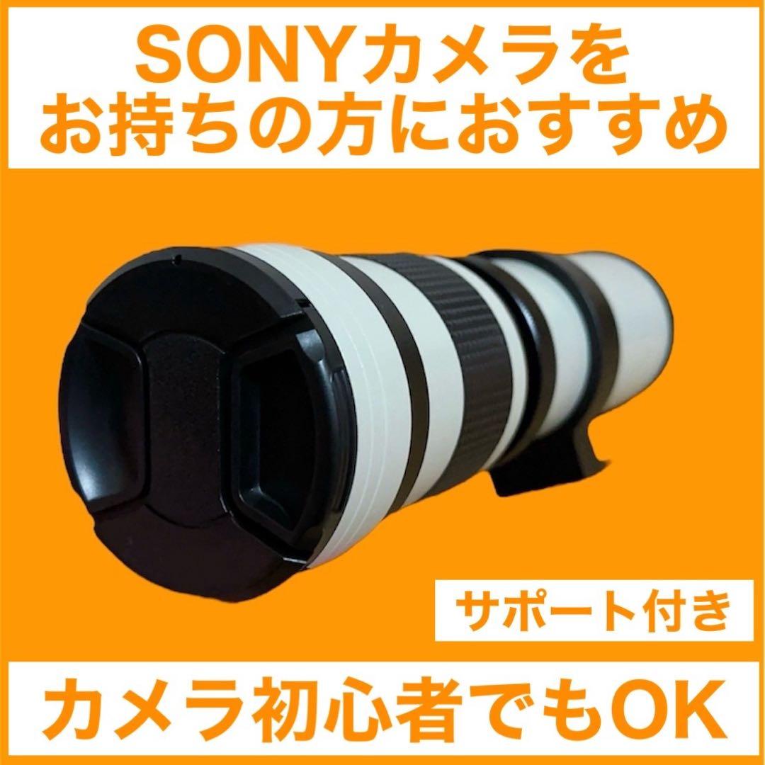 サポート付き！SONYカメラをお持ちの方におすすめ！便利なズームレンズ！袋付き！