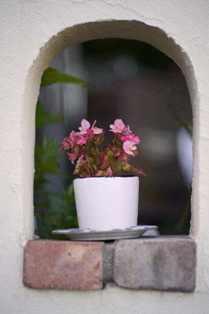 光学綺麗 Nikon New NIKKOR 85mm F1.8