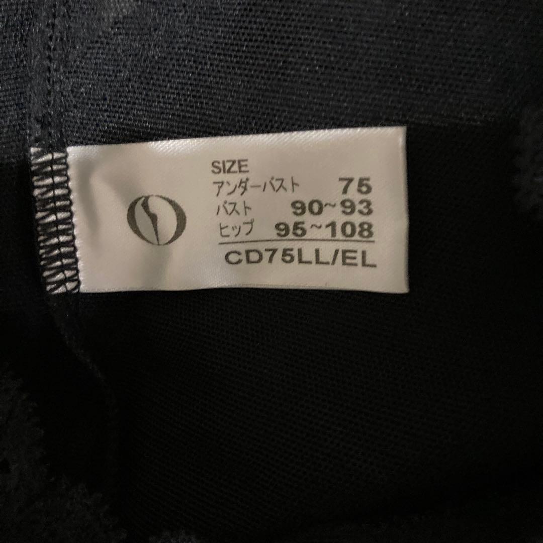 ダイアナアクティフランジュCD 75 L L／E L