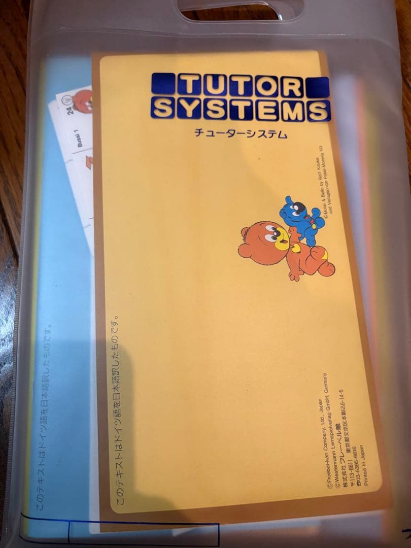 未使用　家庭保育園　たのしい絵カードセット　インデックス　チューター