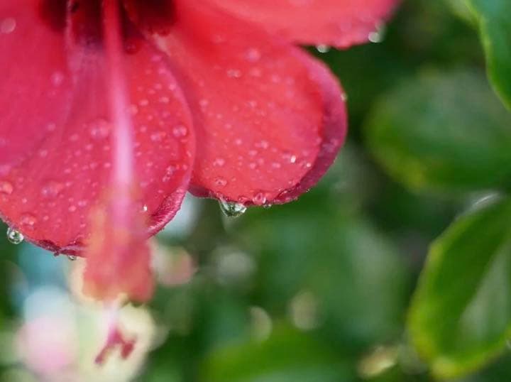 インスタ映え！！フォトジェニック！ 25mm F1.8 単焦点レンズ 美品！