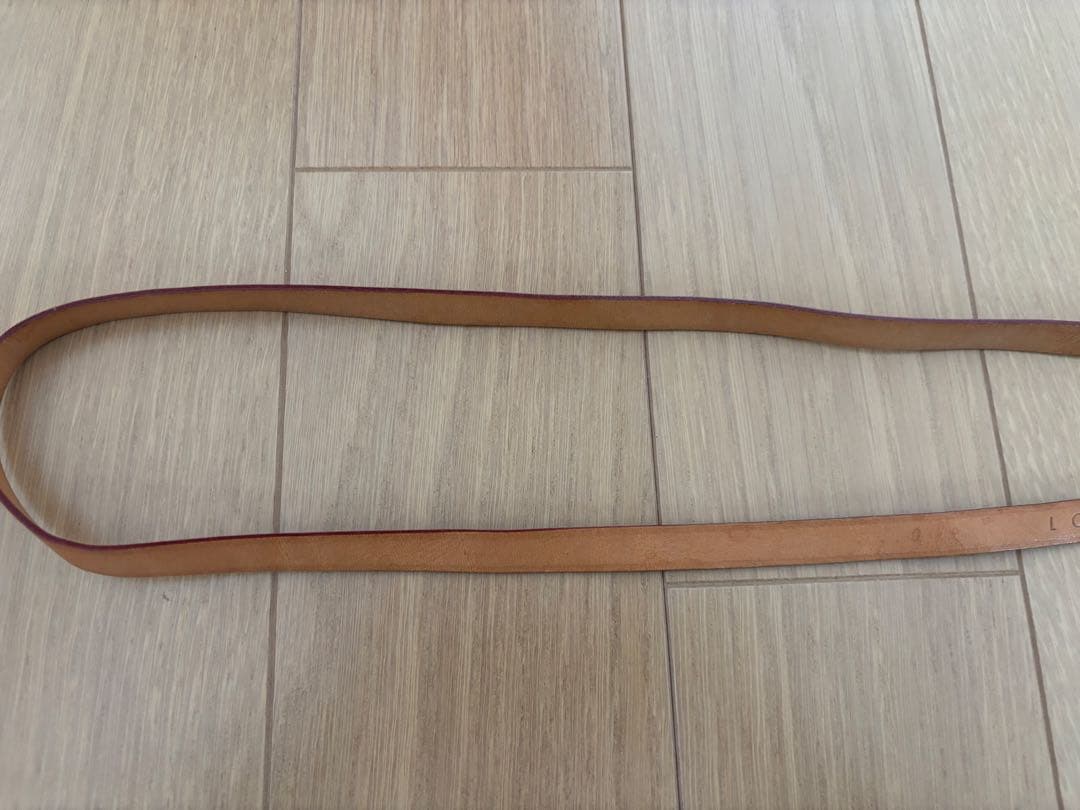 Louis Vuitton モノグラム ポシェット フロランティーヌ