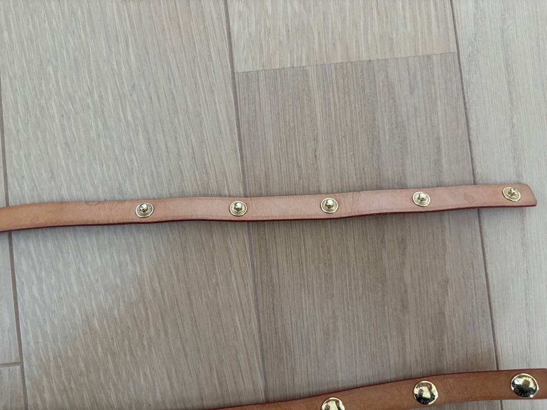 Louis Vuitton モノグラム ポシェット フロランティーヌ