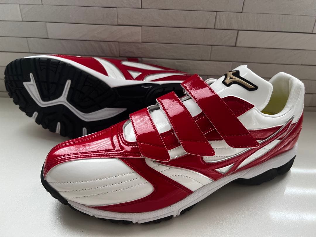 Mizuno オーダー トレーニングシューズ 新品未使用 28.5cm