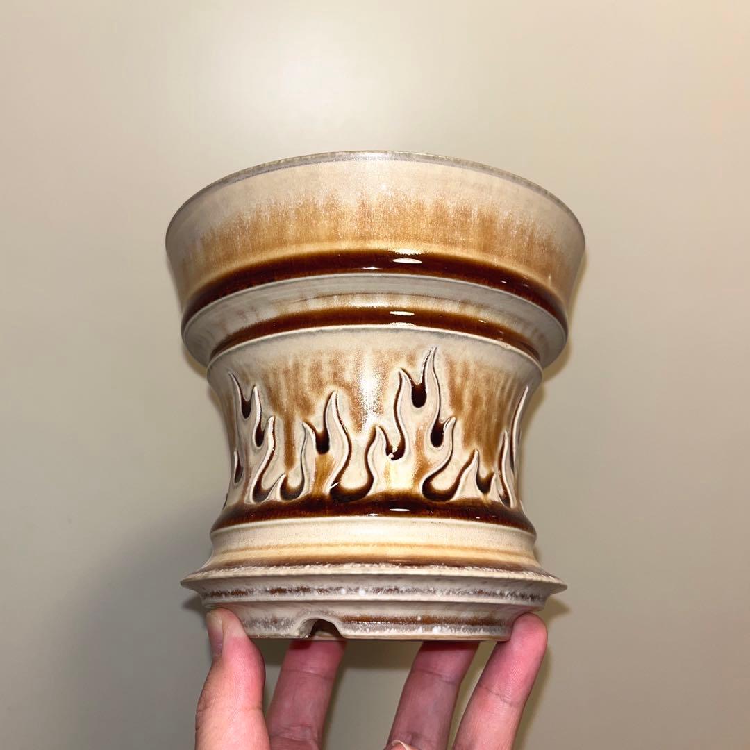 XL SIZE 植木鉢 作家鉢 アガベ グラキリス チタノタ 白鯨 黒火焔 陽炎