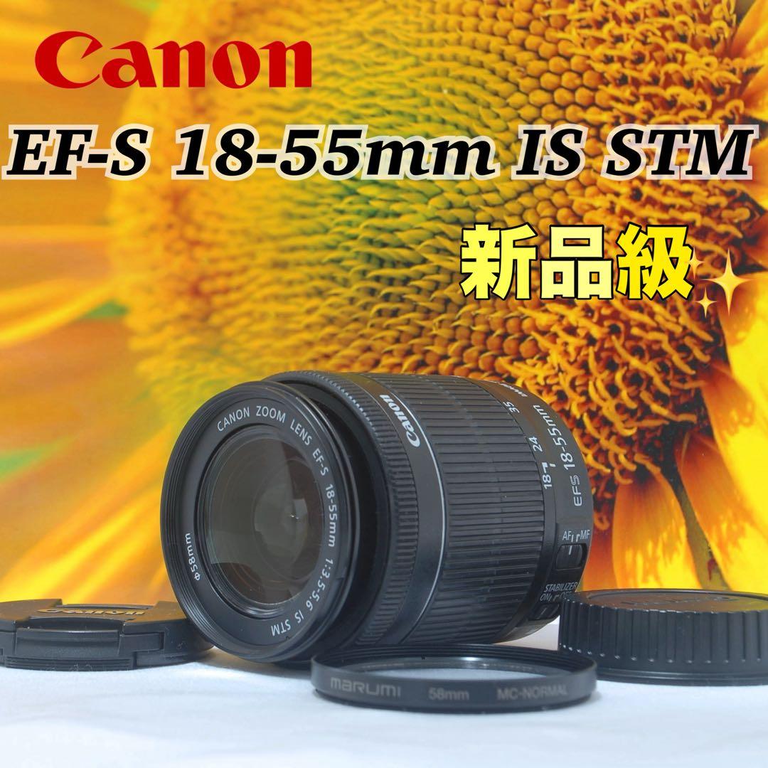 Canon EF-S 18-55mm IS STM ◇美品◇ 手振れ補正レンズ
