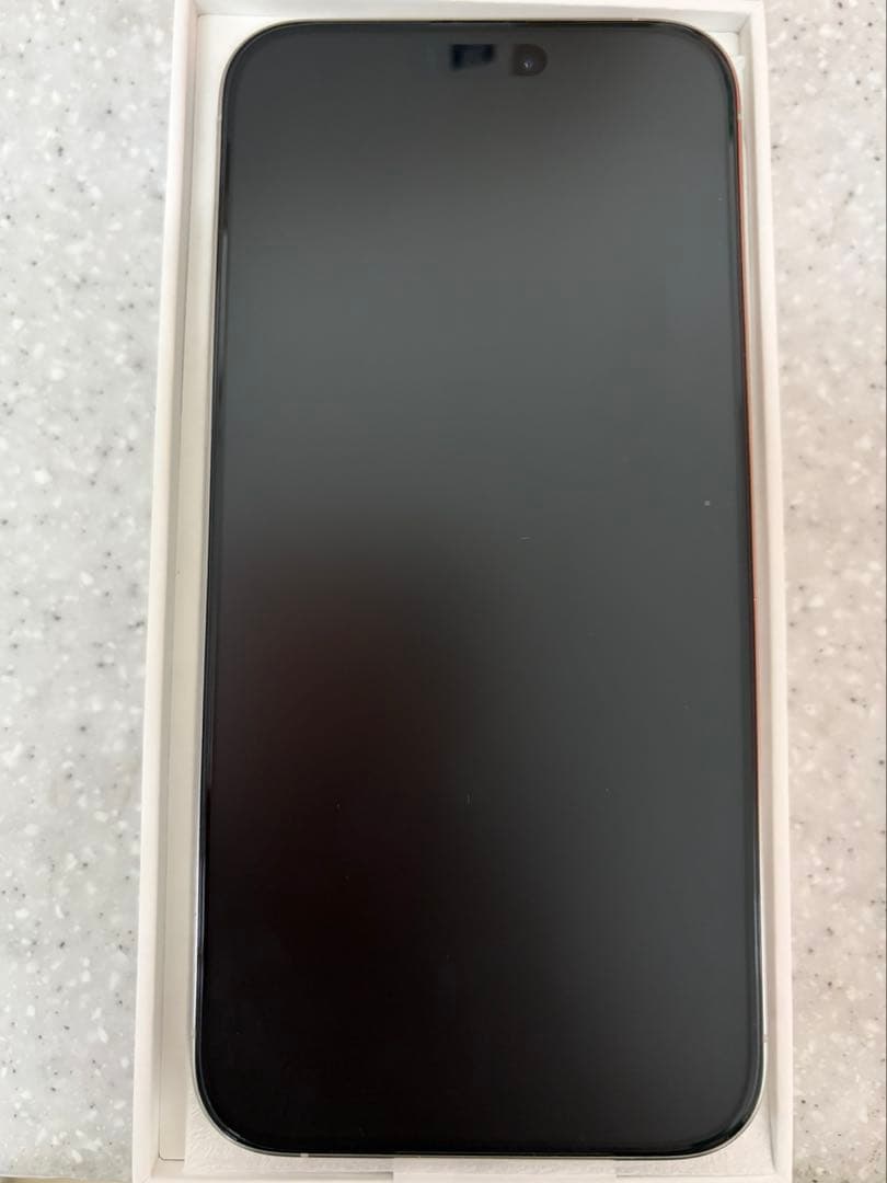 iPhone 15 Pro Max ホワイトチタニウム 256GB