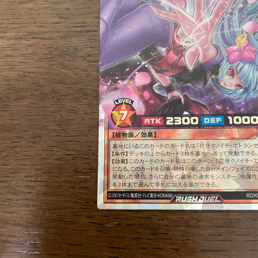 PMレノアール絵違い、花牙疾走のクノイチエトランゼ　ORR